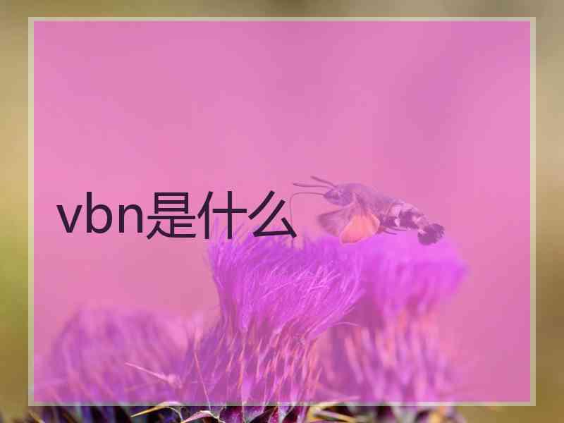 vbn是什么