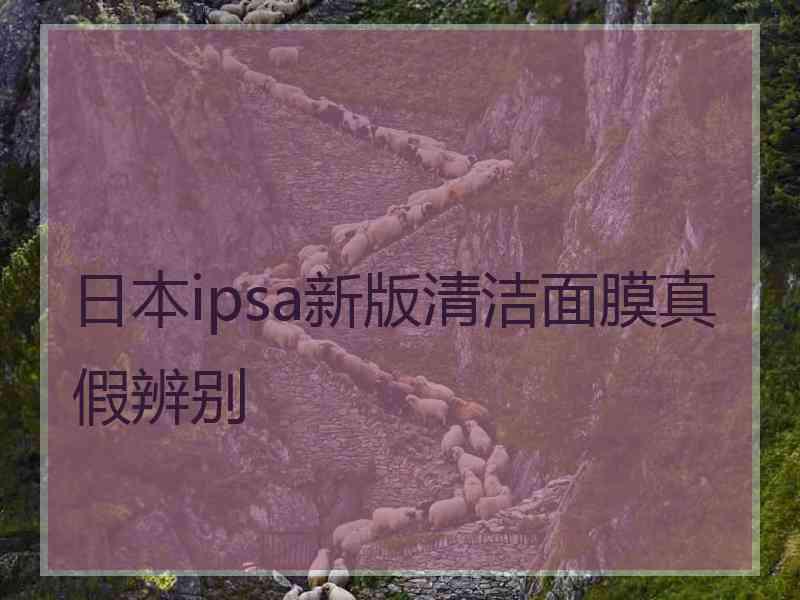 日本ipsa新版清洁面膜真假辨别