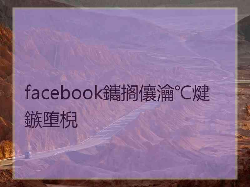 facebook鑴搁儴瀹℃煡鏃堕棿