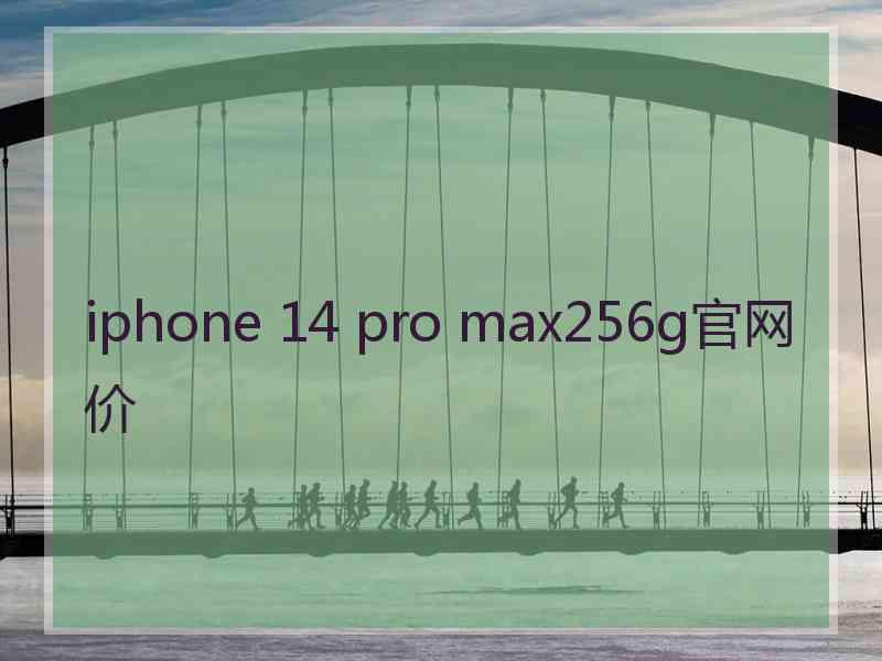 iphone 14 pro max256g官网价