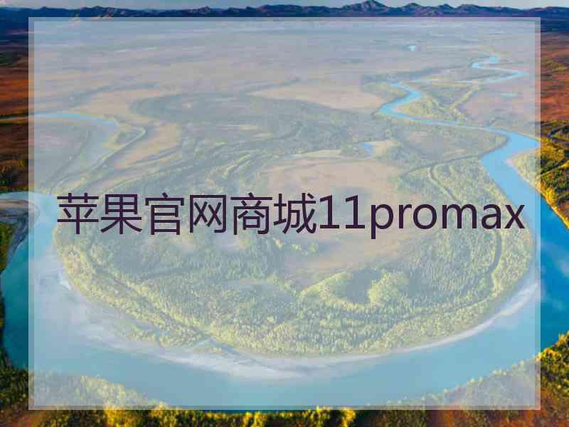 苹果官网商城11promax