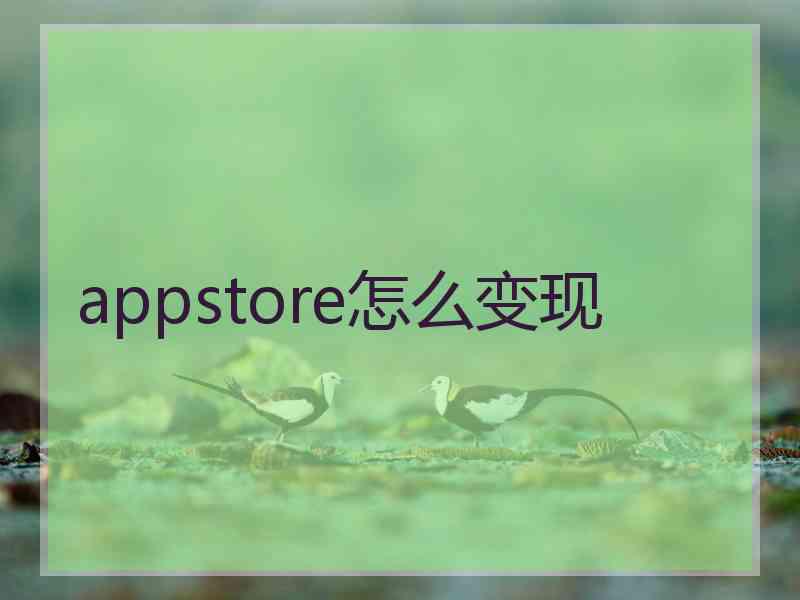 appstore怎么变现