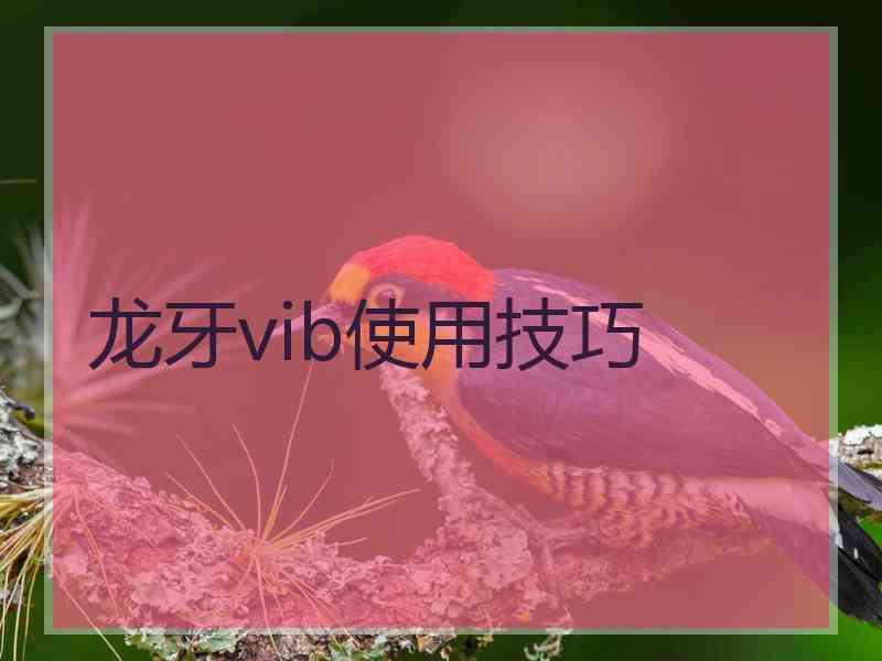 龙牙vib使用技巧