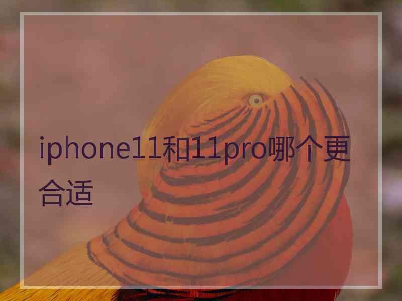 iphone11和11pro哪个更合适