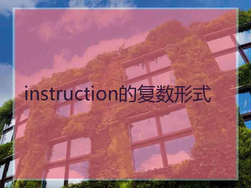 instruction的复数形式