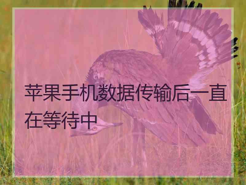 苹果手机数据传输后一直在等待中