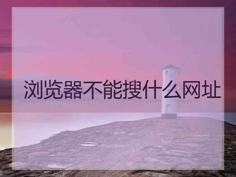 浏览器不能搜什么网址