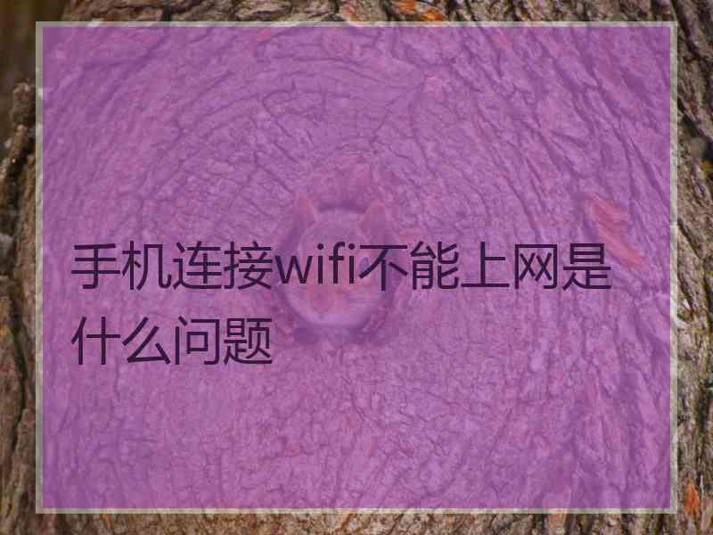 手机连接wifi不能上网是什么问题