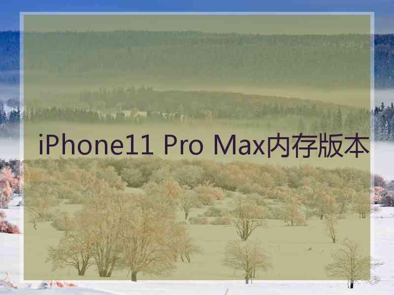 iPhone11 Pro Max内存版本