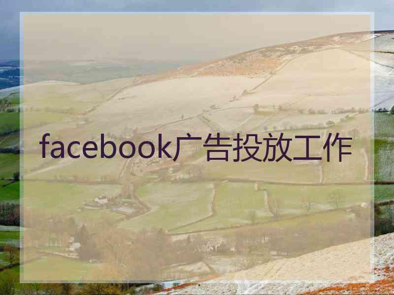 facebook广告投放工作