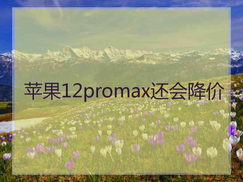 苹果12promax还会降价