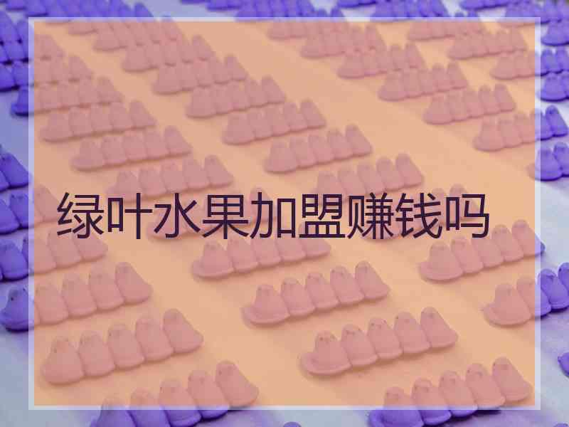 绿叶水果加盟赚钱吗