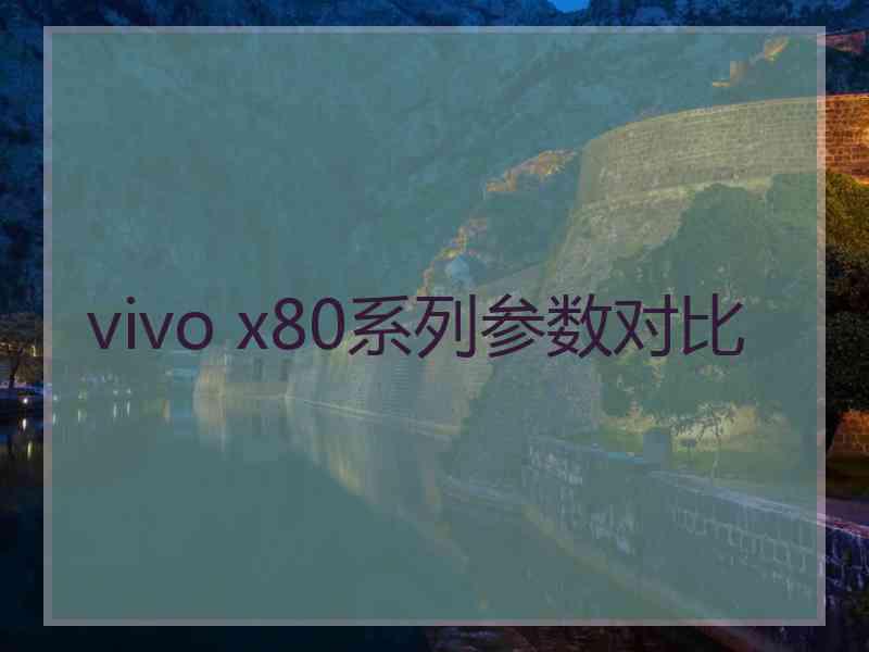 vivo x80系列参数对比