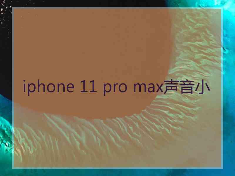 iphone 11 pro max声音小