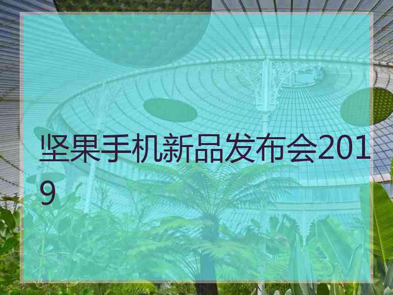 坚果手机新品发布会2019