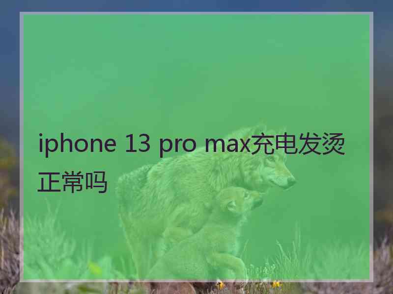 iphone 13 pro max充电发烫正常吗