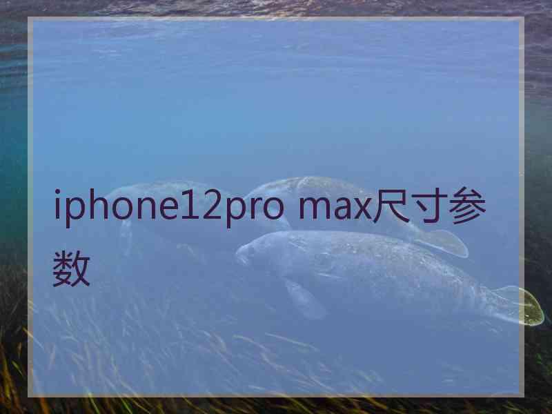 iphone12pro max尺寸参数