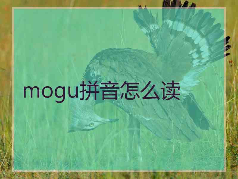 mogu拼音怎么读