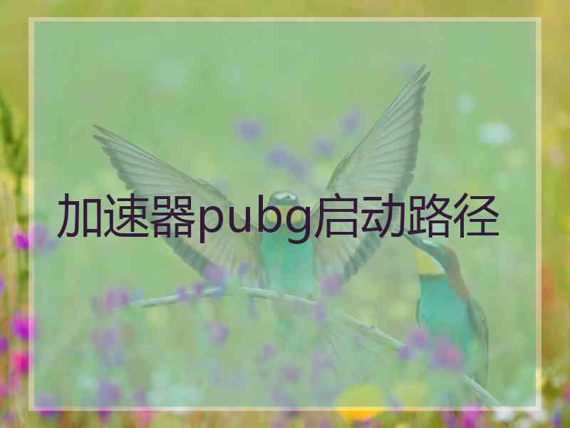 加速器pubg启动路径