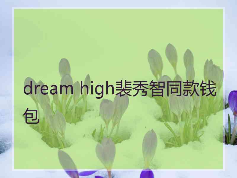 dream high裴秀智同款钱包