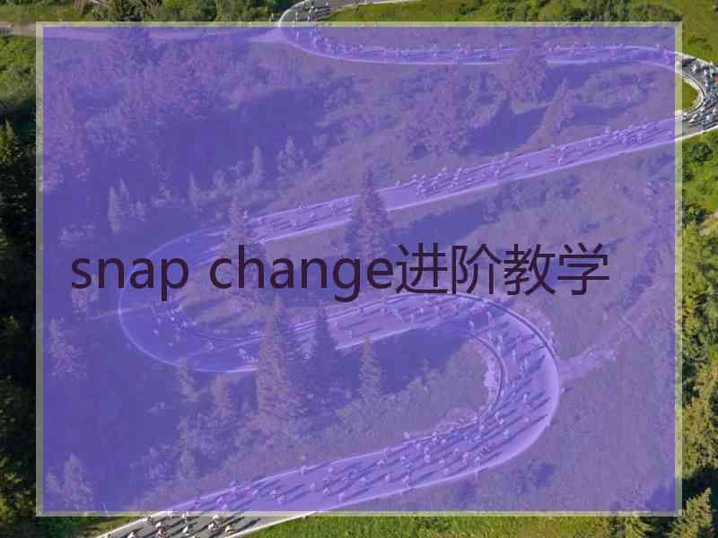 snap change进阶教学