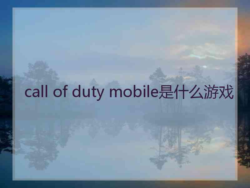 call of duty mobile是什么游戏