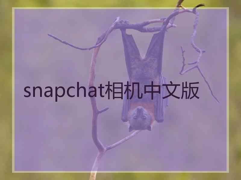 snapchat相机中文版