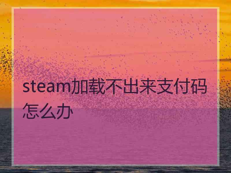 steam加载不出来支付码怎么办