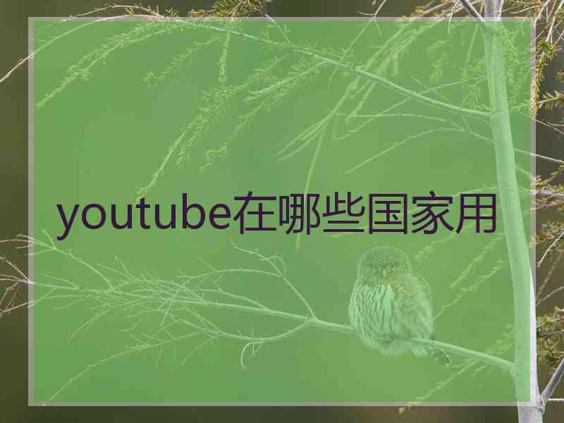 youtube在哪些国家用