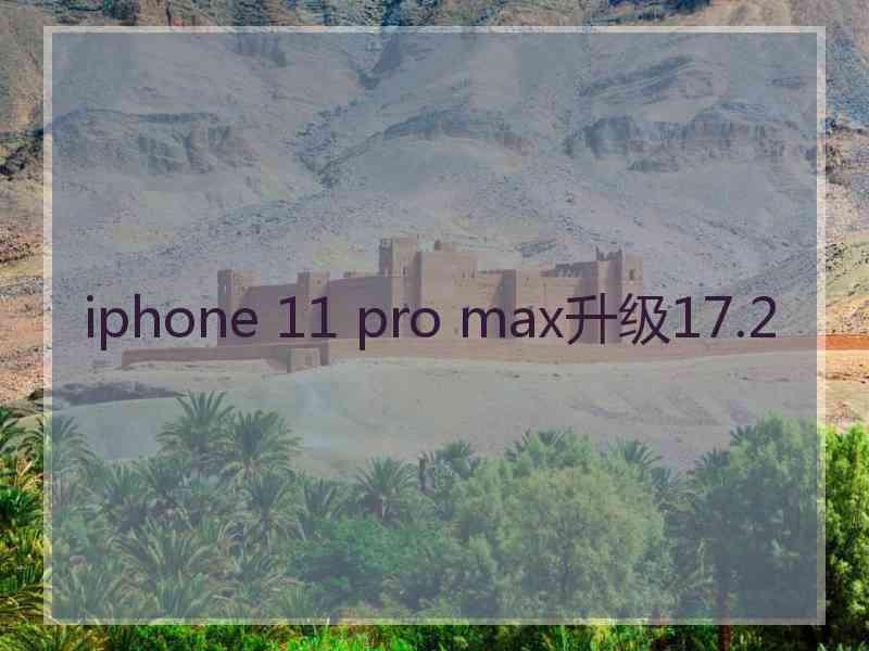 iphone 11 pro max升级17.2