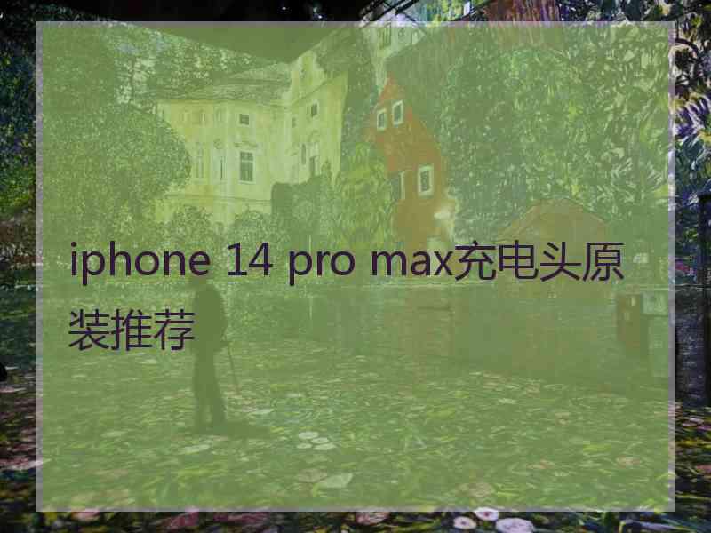 iphone 14 pro max充电头原装推荐