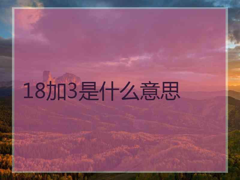 18加3是什么意思