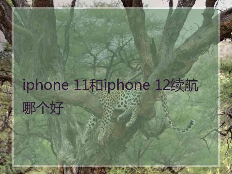 iphone 11和iphone 12续航哪个好