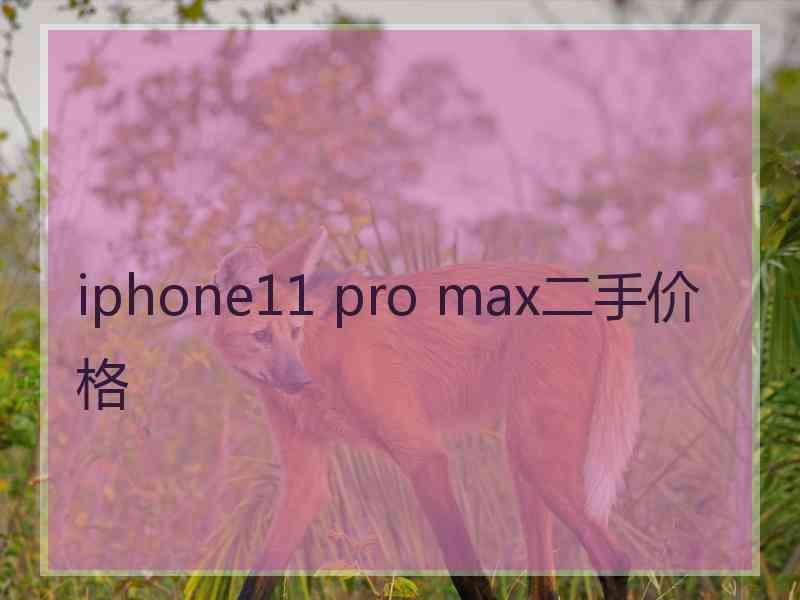 iphone11 pro max二手价格