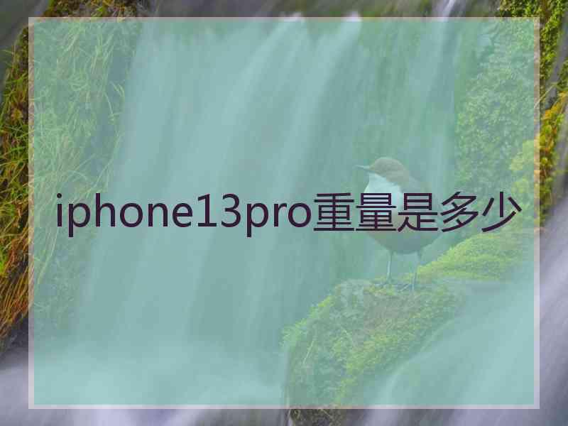 iphone13pro重量是多少