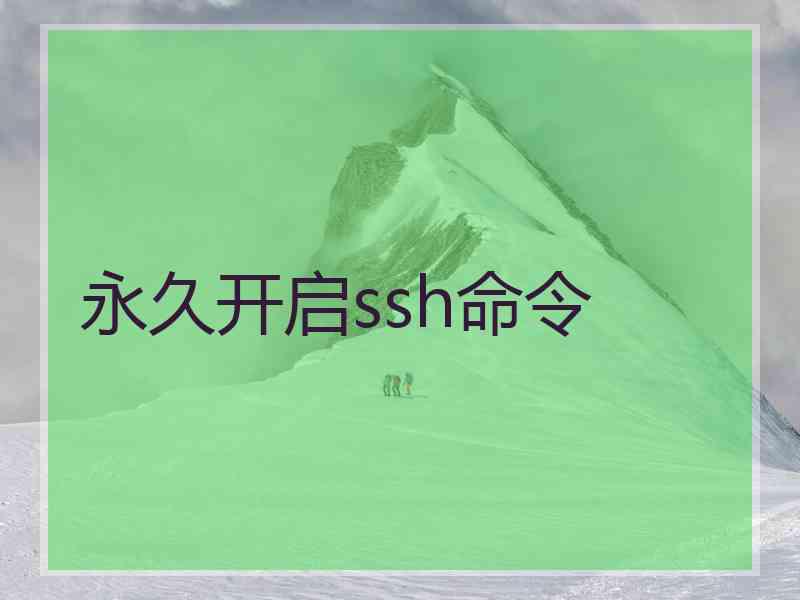 永久开启ssh命令