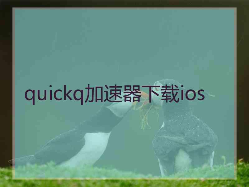 quickq加速器下载ios