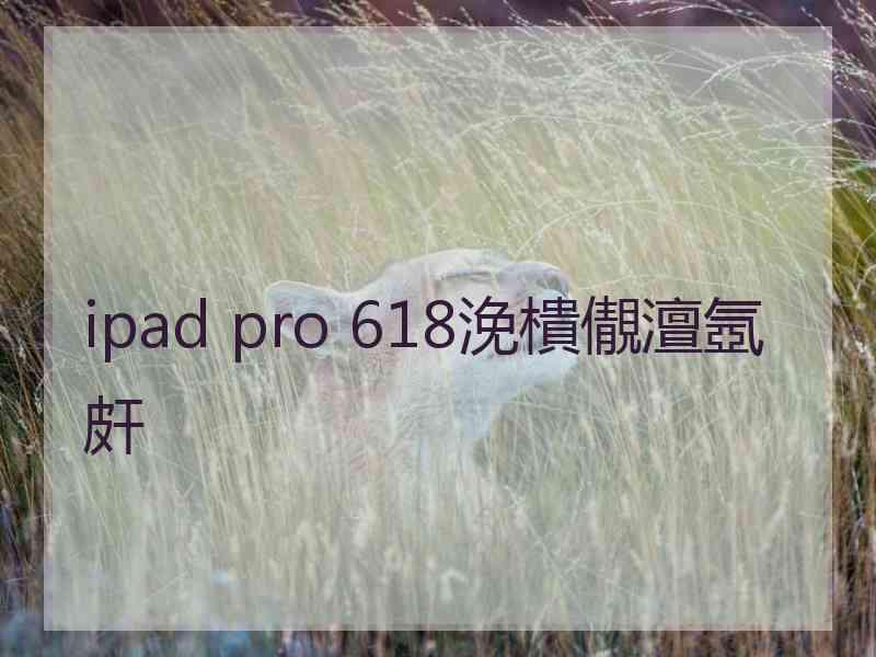 ipad pro 618浼樻儬澶氬皯