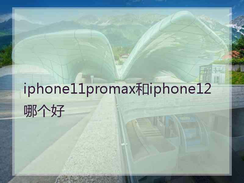 iphone11promax和iphone12哪个好