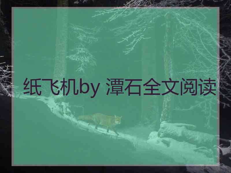 纸飞机by 潭石全文阅读