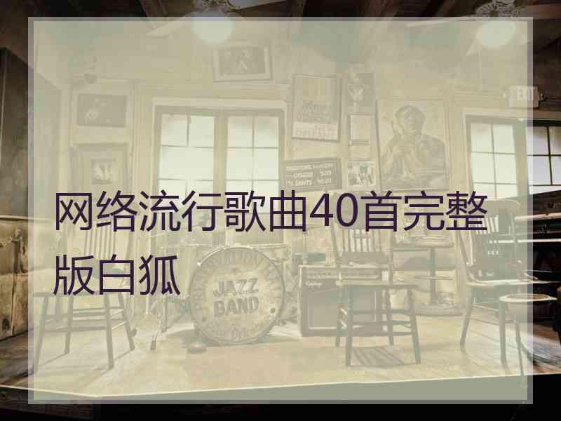 网络流行歌曲40首完整版白狐