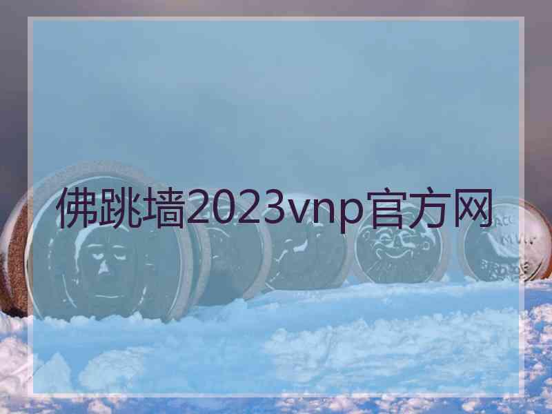 佛跳墙2023vnp官方网