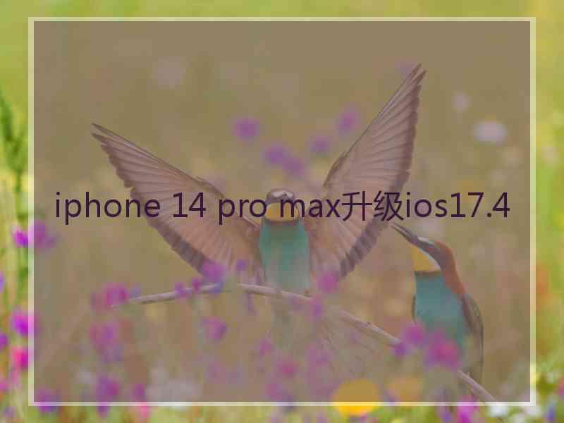 iphone 14 pro max升级ios17.4