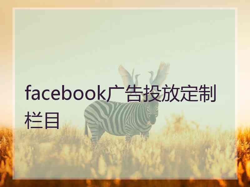 facebook广告投放定制栏目