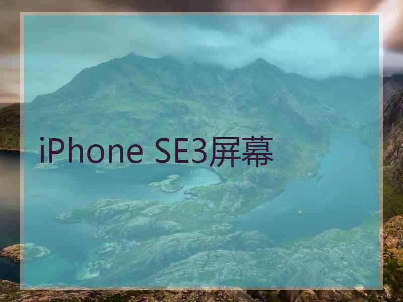 iPhone SE3屏幕