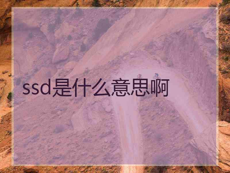 ssd是什么意思啊