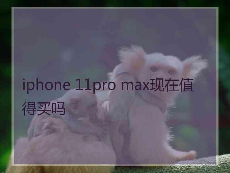 iphone 11pro max现在值得买吗