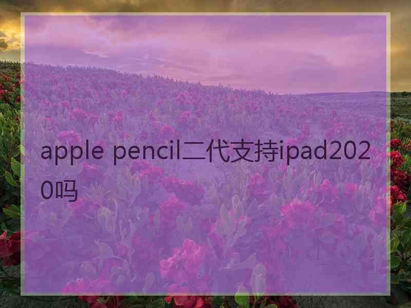 apple pencil二代支持ipad2020吗