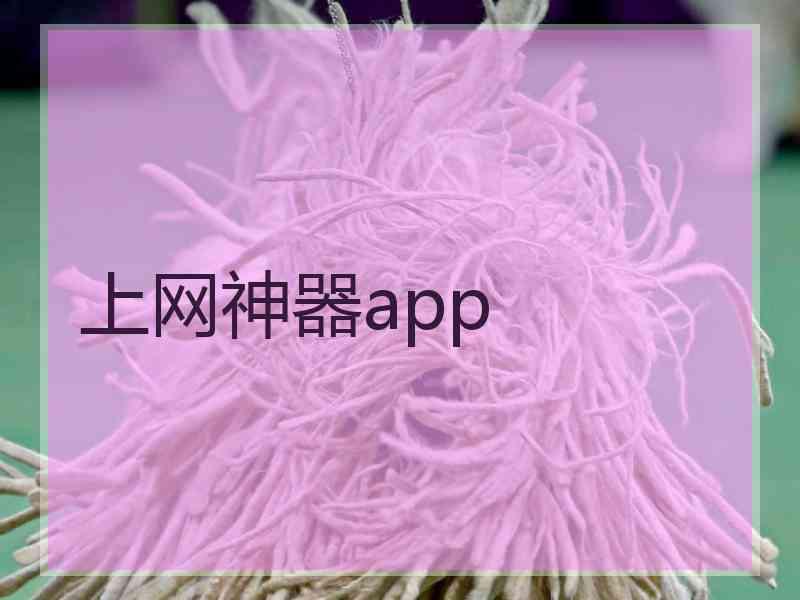 上网神器app