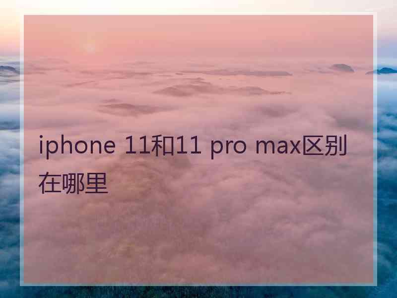 iphone 11和11 pro max区别在哪里